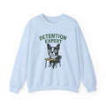 Boston Terrier Detention Expert Sweatshirt