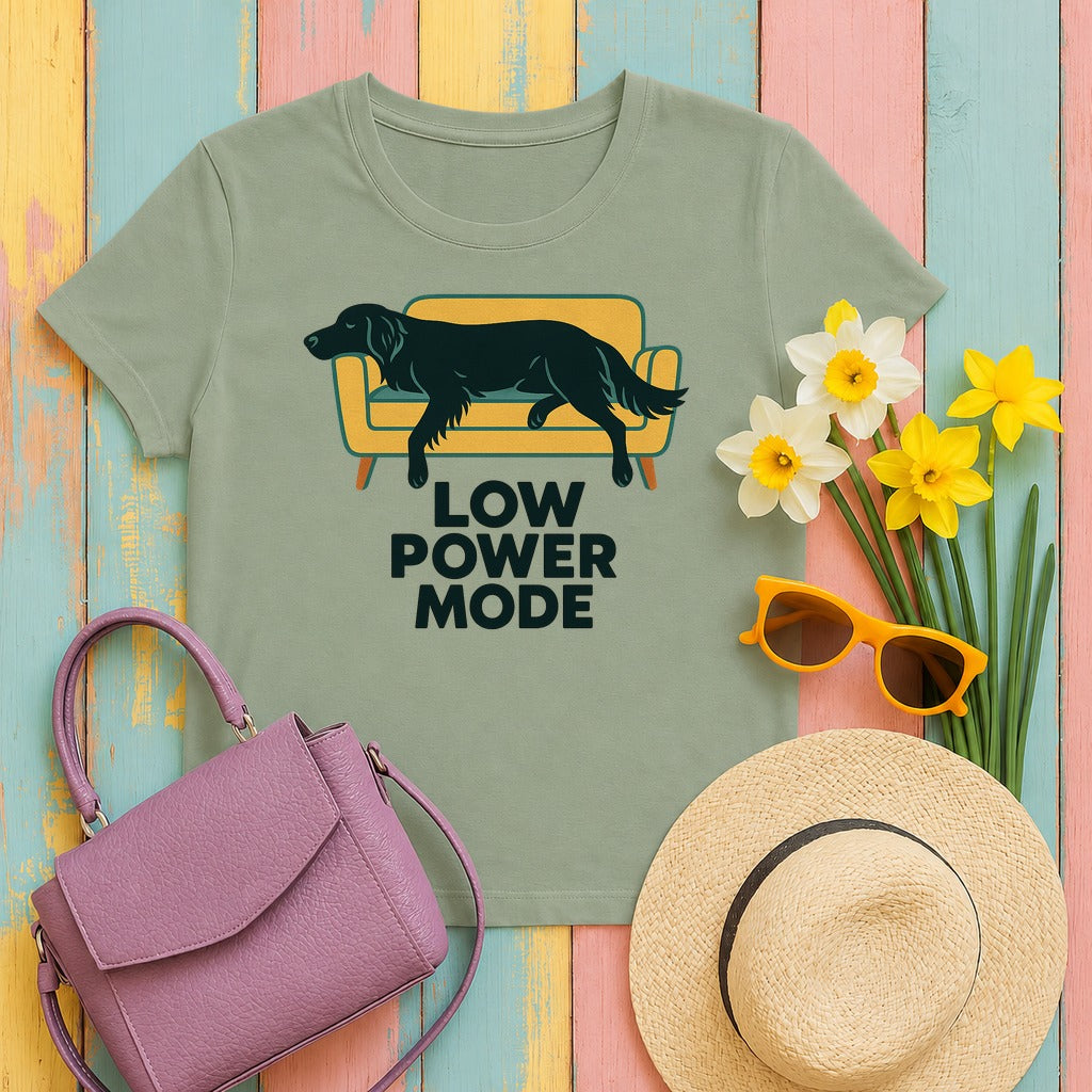 Flat-Coat Low Power Mode Tee in Sage