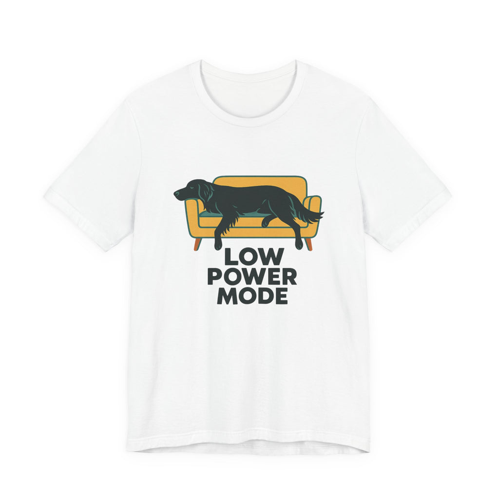 Flat-Coat Low Power Mode Tee