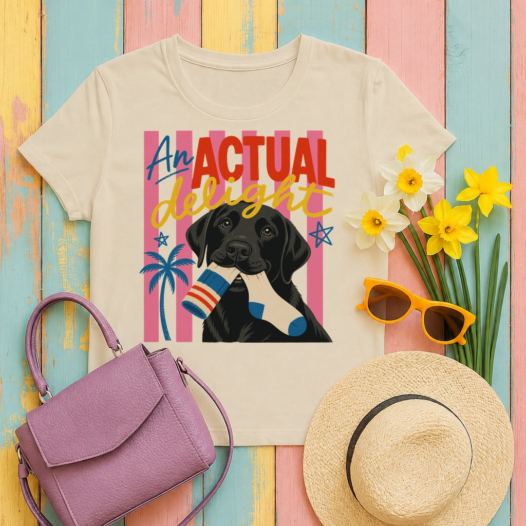 mig2 an-actual-delight-lab-pup-graphic tee flat lay hero v8