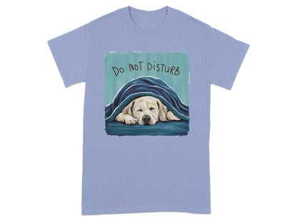 Do Not Disturb Sleeping Dog Graphic T-Shirt product type
