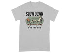 Greyhound resting on a sofa with "SLOW DOWN" text.