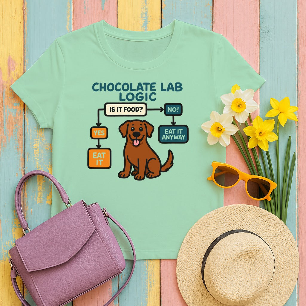 The Chocolate Lab Logic Flowchart T-Shirt in Mint Green
