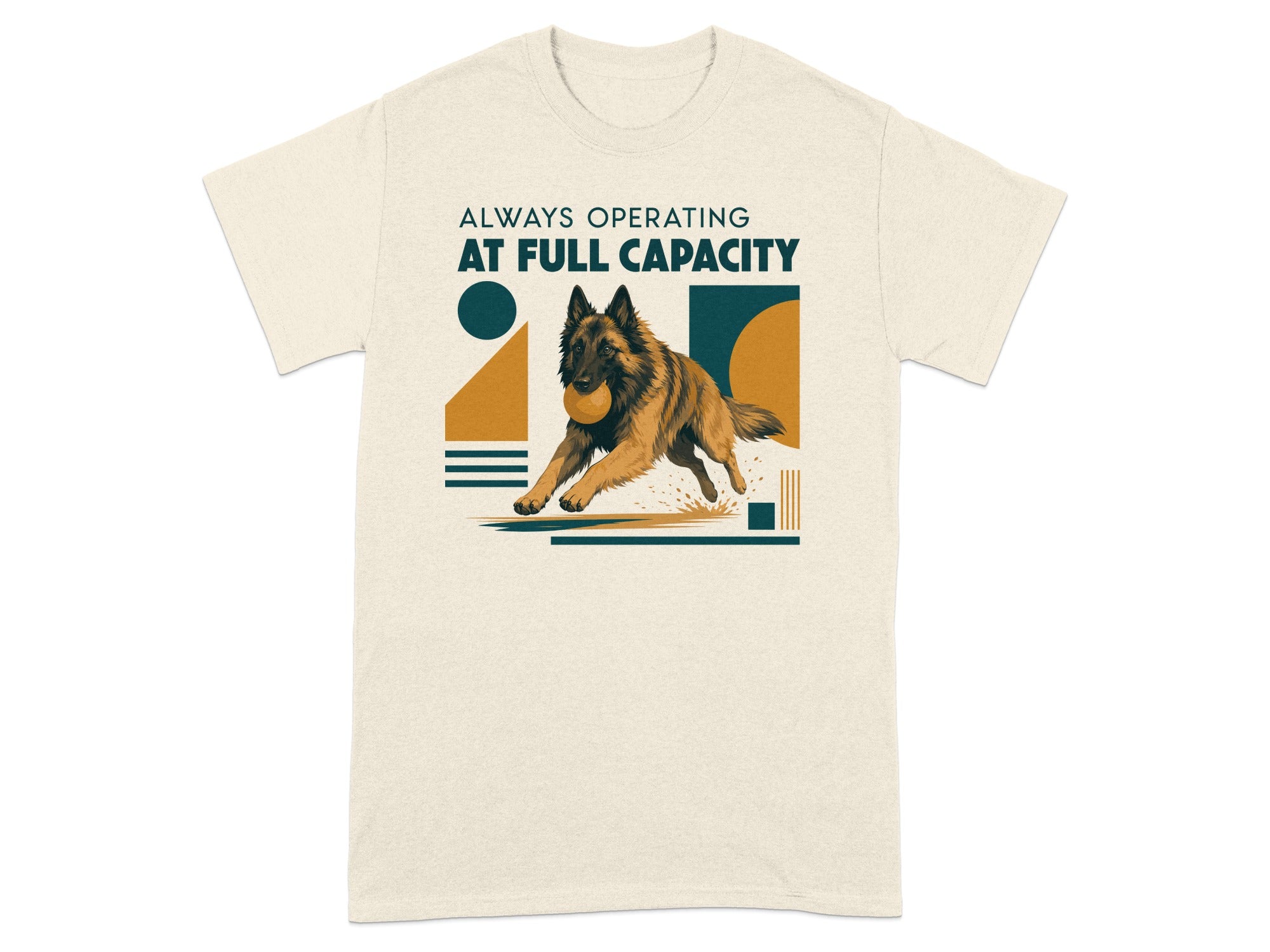 Belgian Malinois dog running with ball, "Always Operating At Full Capacity" text.