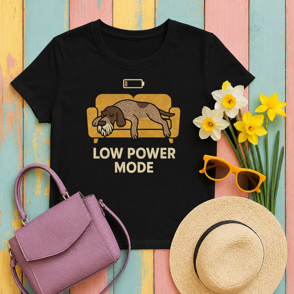 Spinone Italiano Low Power Mode Tee in Black