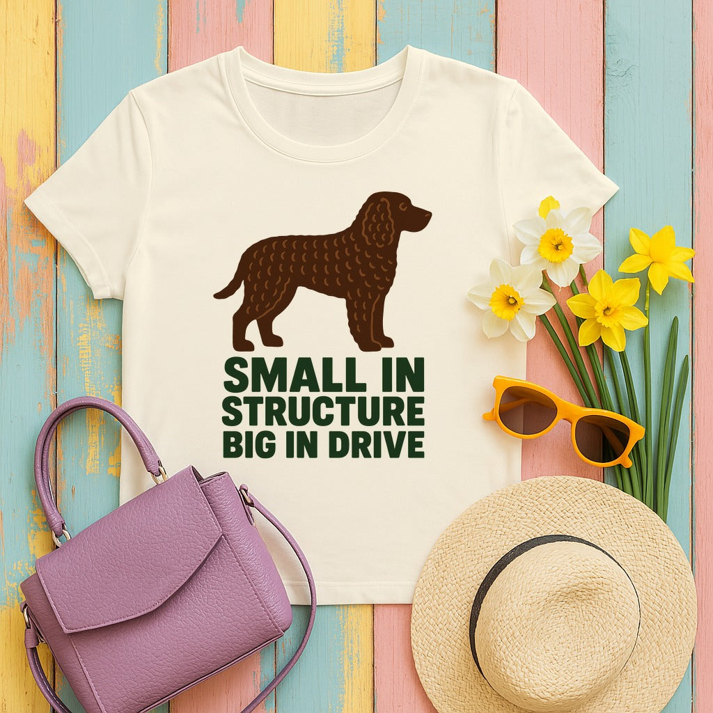 American Water Spaniel Small In Structure Big In Drive Tee in Natural