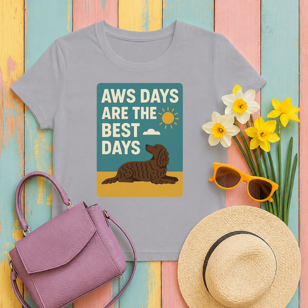 American Water Spaniel AWS Days Are The Best Days Tee in Athletic Heather
