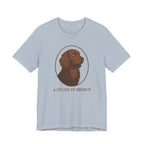 Boykin Spaniel A Study in Brown Tee