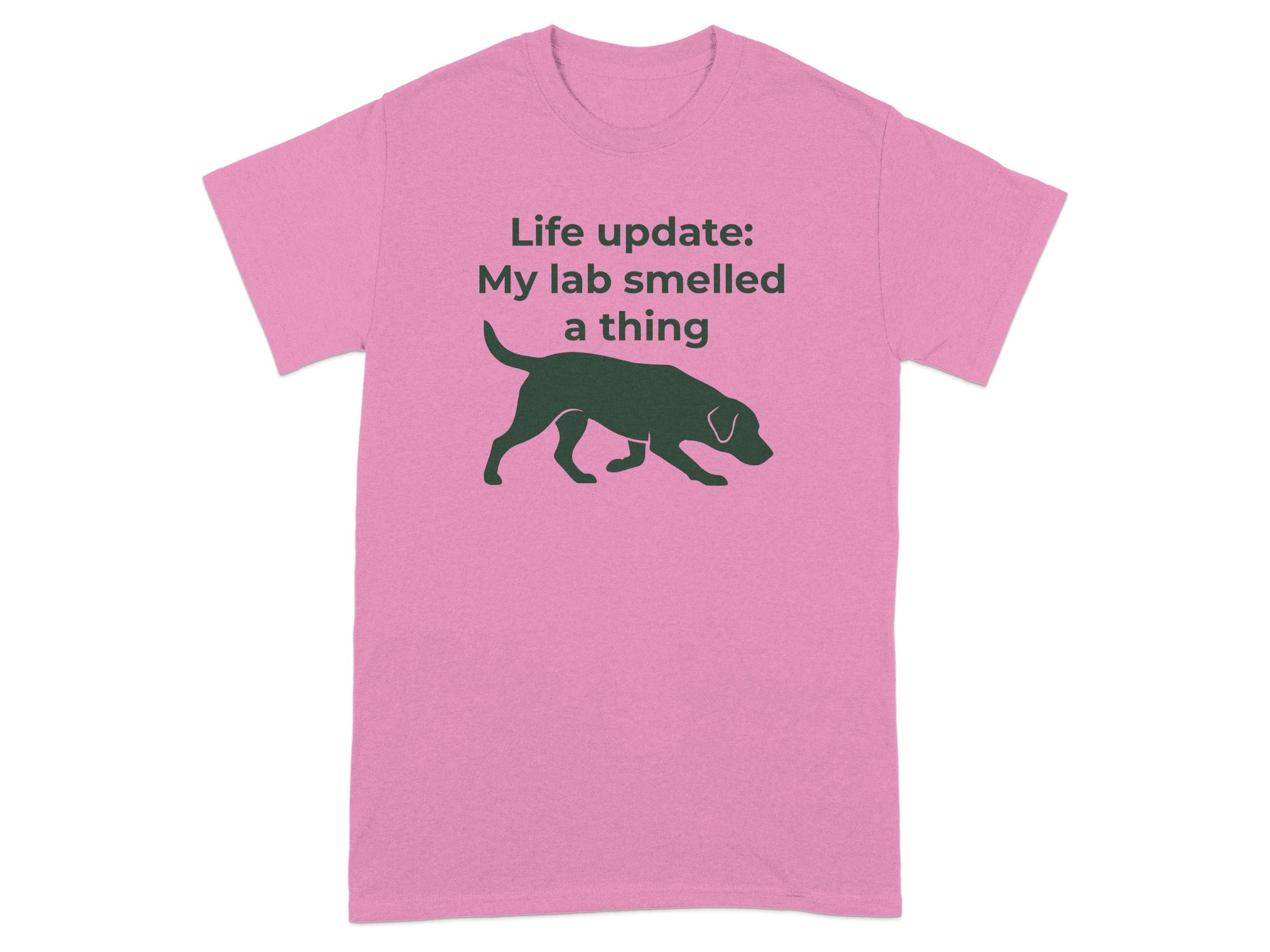 Pink t-shirt with silhouette of a dog and text "Life update: My lab smelled a thing".