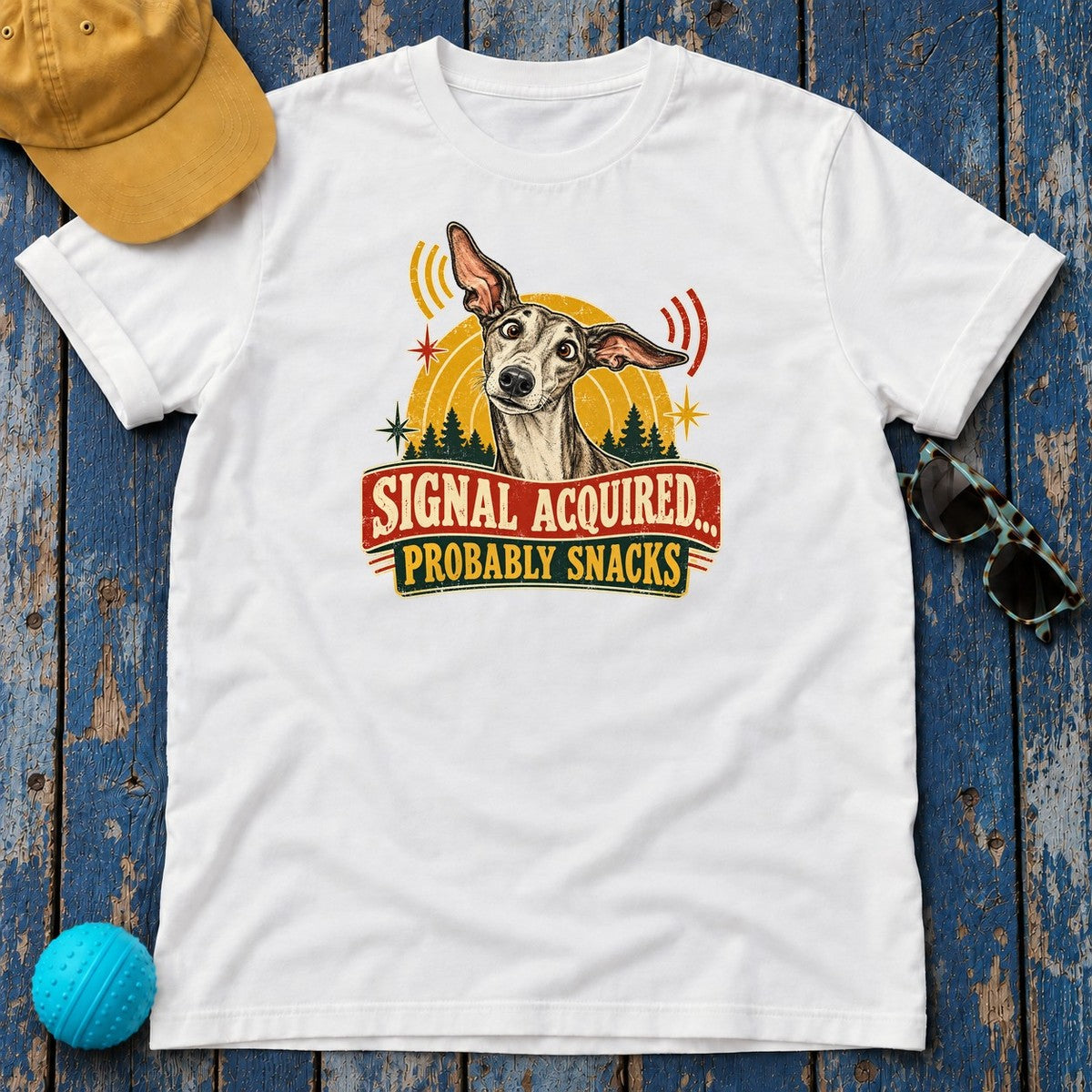 Signal Acquired Probably Snacks Greyhound T-Shirt in White - flat lay