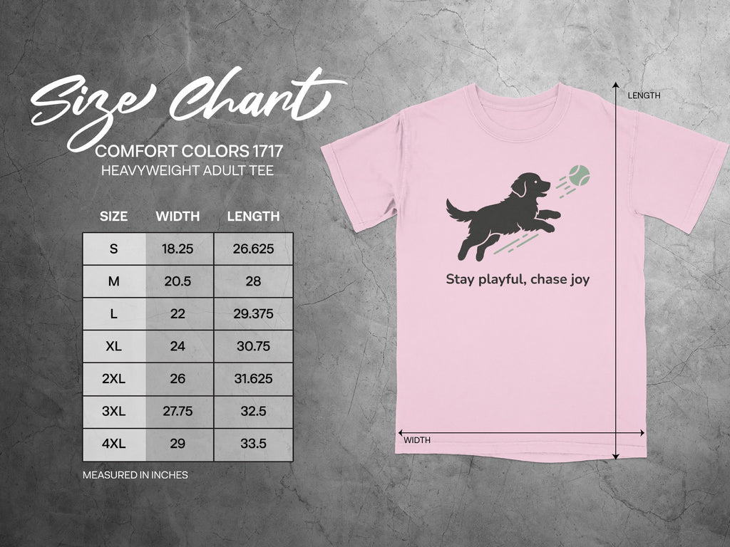 Stay Playful Chase Joy Heavyweight Adult Tee