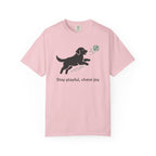 Stay playful chase joy dog graphic t-shirt product