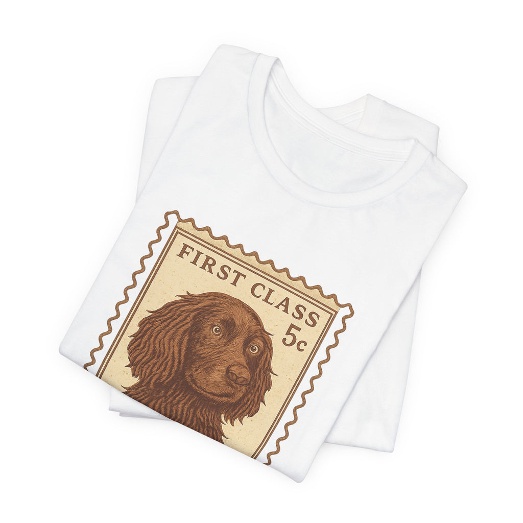 Boykin Spaniel First Class Stamp Tee