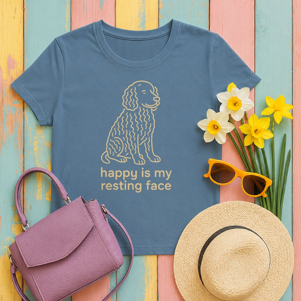 American Water Spaniel Happy Is My Resting Face Tee in Steel Blue