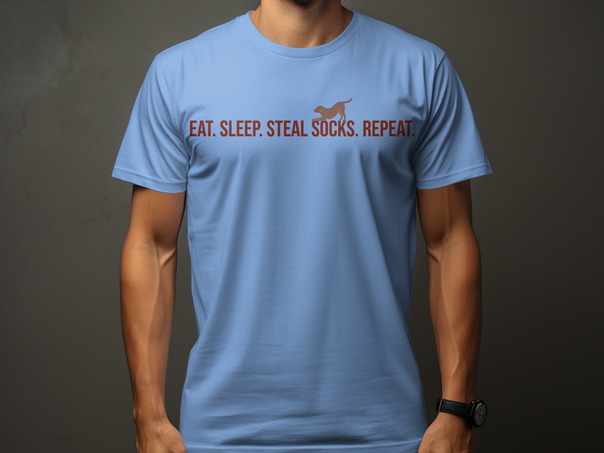 Light blue t-shirt with "Eat. Sleep. Steal. Socks. Repeat." and a dog silhouette.