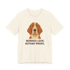 Bracco Italiano Worried Look Tee