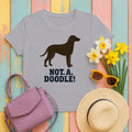 Curly-Coated Retriever Not A Doodle Tee in Athletic Heather