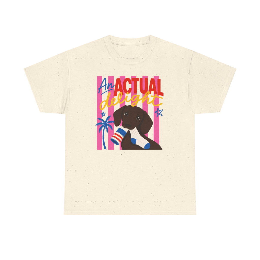 Actual Delight Dachshund & Socks T-Shirt