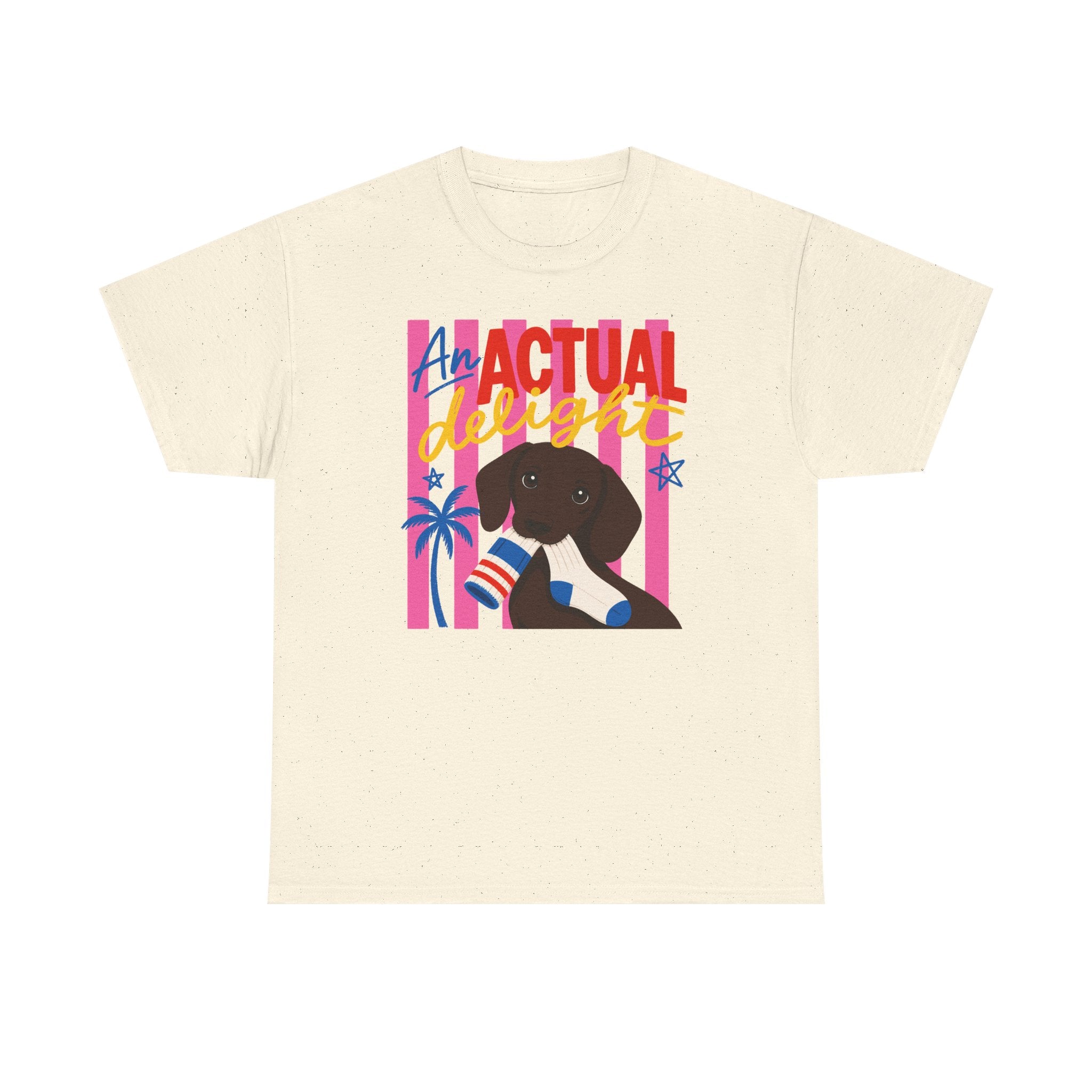 Actual Delight Dachshund & Socks T-Shirt