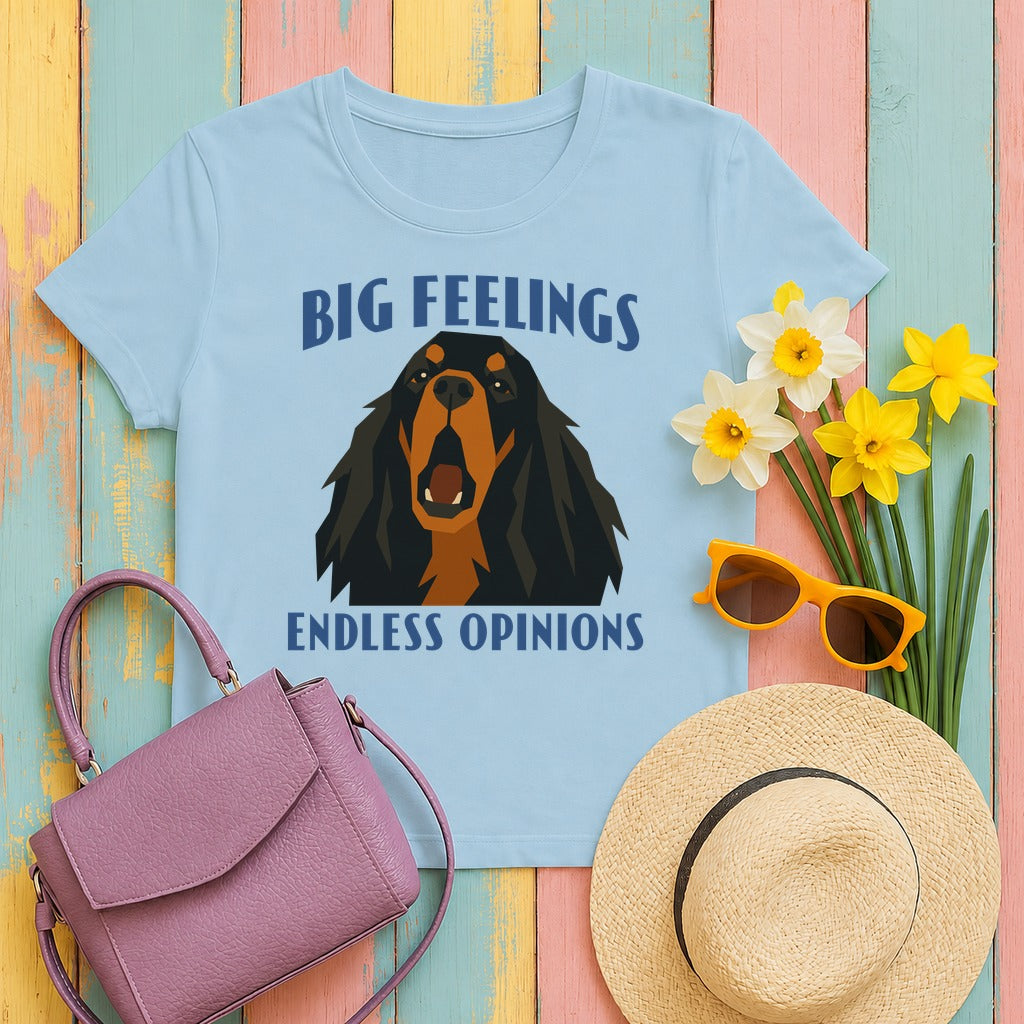 Big Feelings Setter T-Shirt in Light Blue
