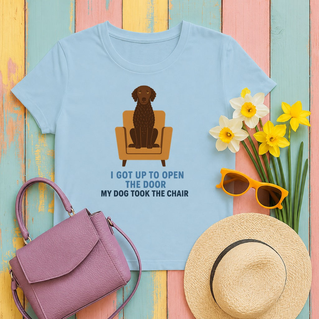 Curly-Coated Retriever My Dog Took The Chair Tee in Light Blue