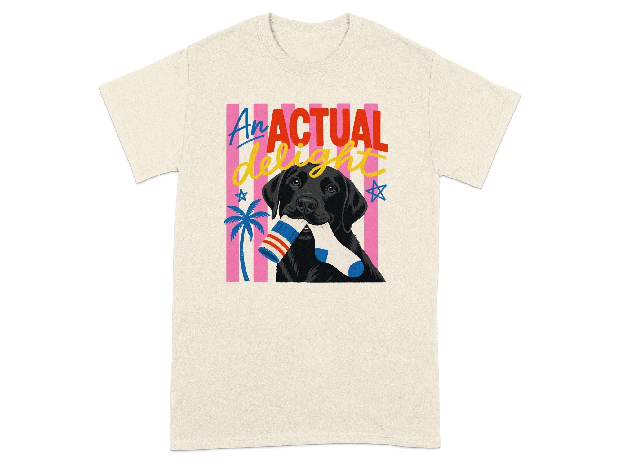 Black Labrador with sock in mouth against colorful stripes and stars.