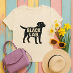flat lay hero lab-family-v8