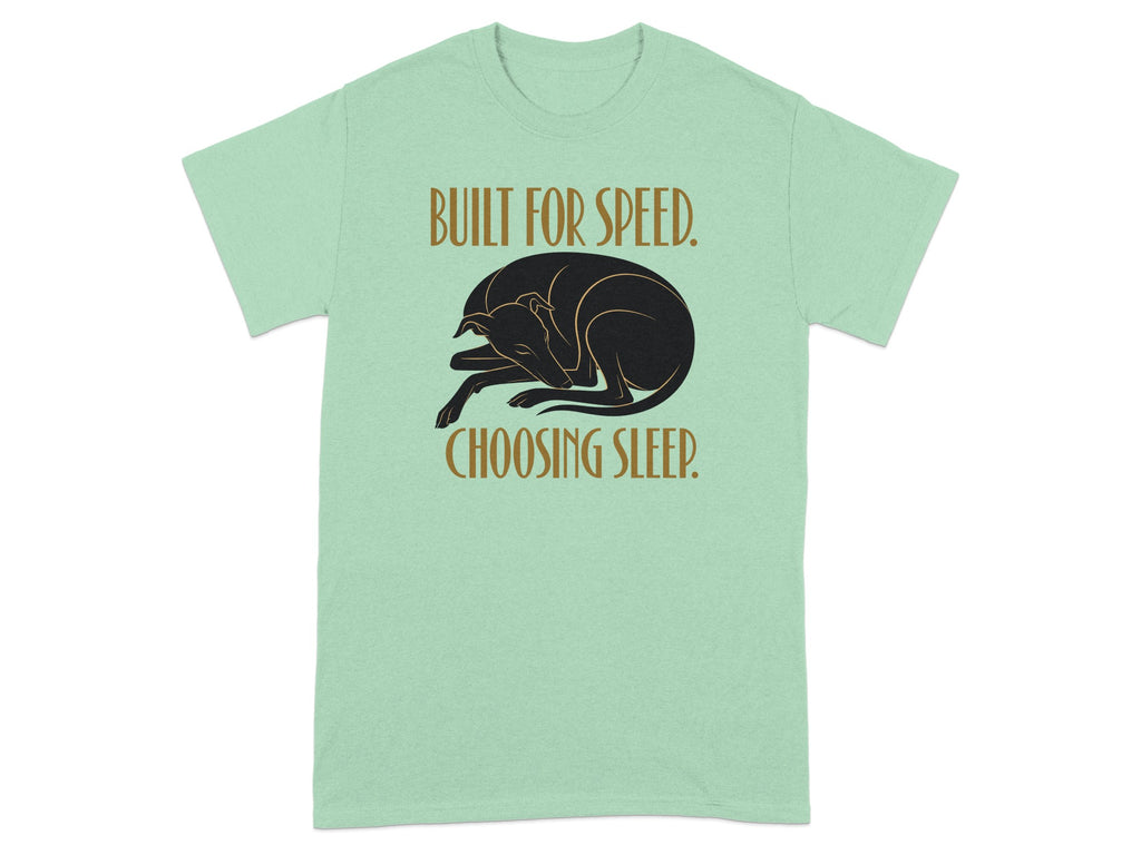 Black dog sleeping on a mint green t-shirt with text "BUILT FOR SPEED. CHOOSING SLEEP."