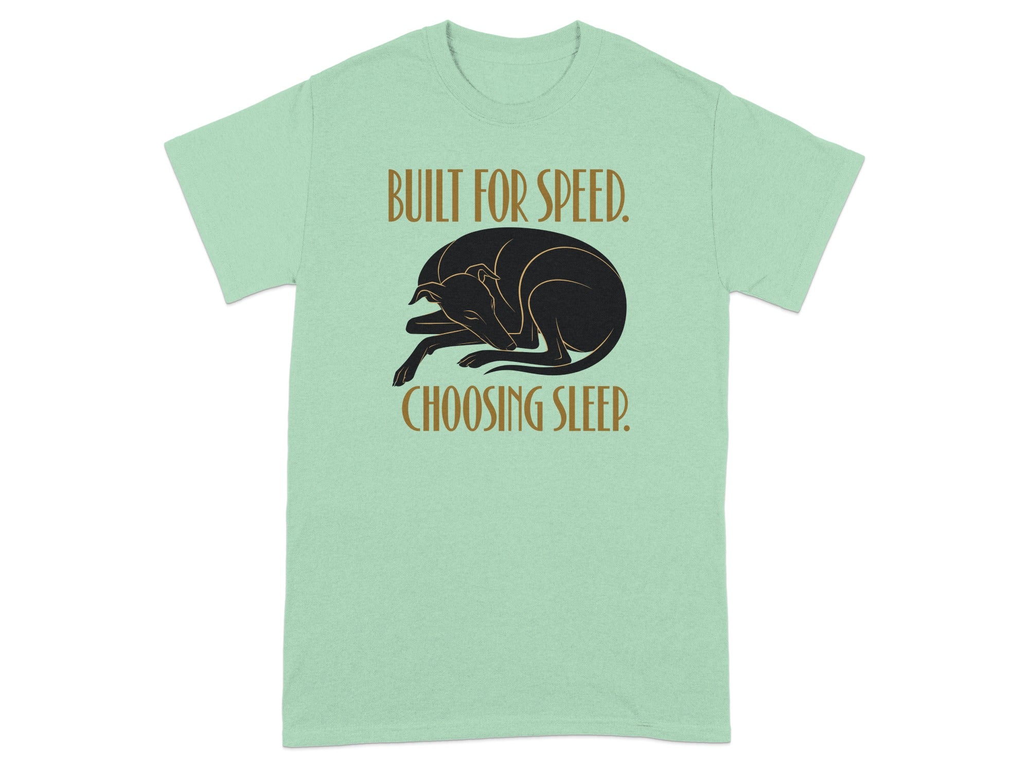 Black dog sleeping on a mint green t-shirt with text "BUILT FOR SPEED. CHOOSING SLEEP."