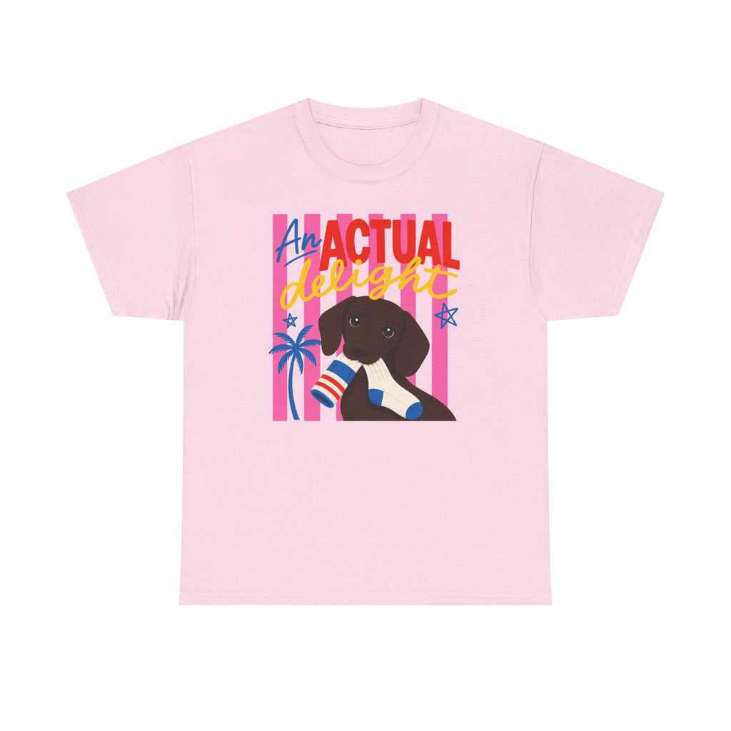 Actual Delight Dachshund & Socks T-Shirt