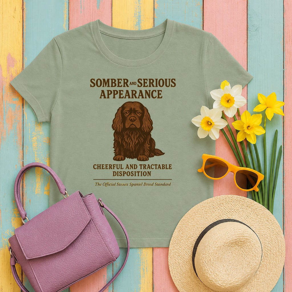 Sussex Somber And Serious Appearance Tee in Sage
