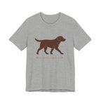Chocolate Lab Slow Down Enjoy Walks Tee