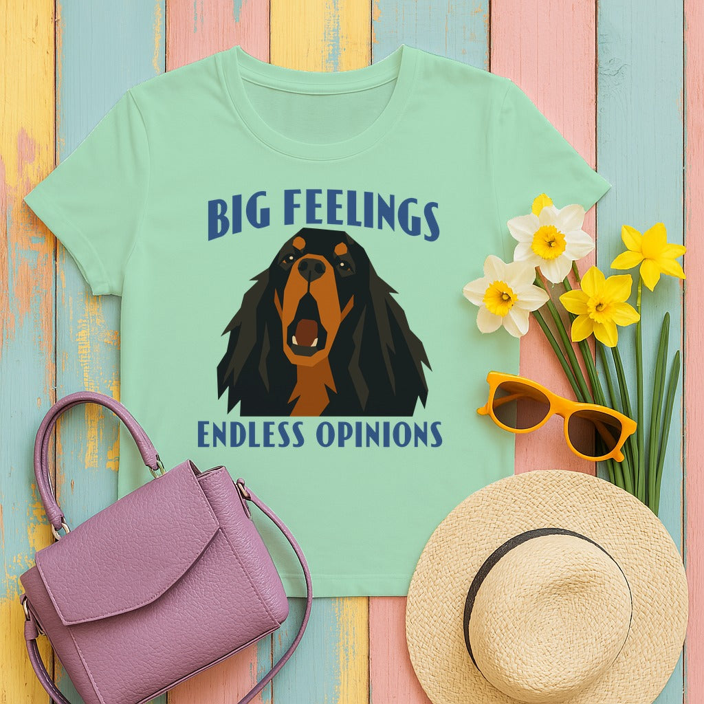 Big Feelings Setter T-Shirt in Mint Green