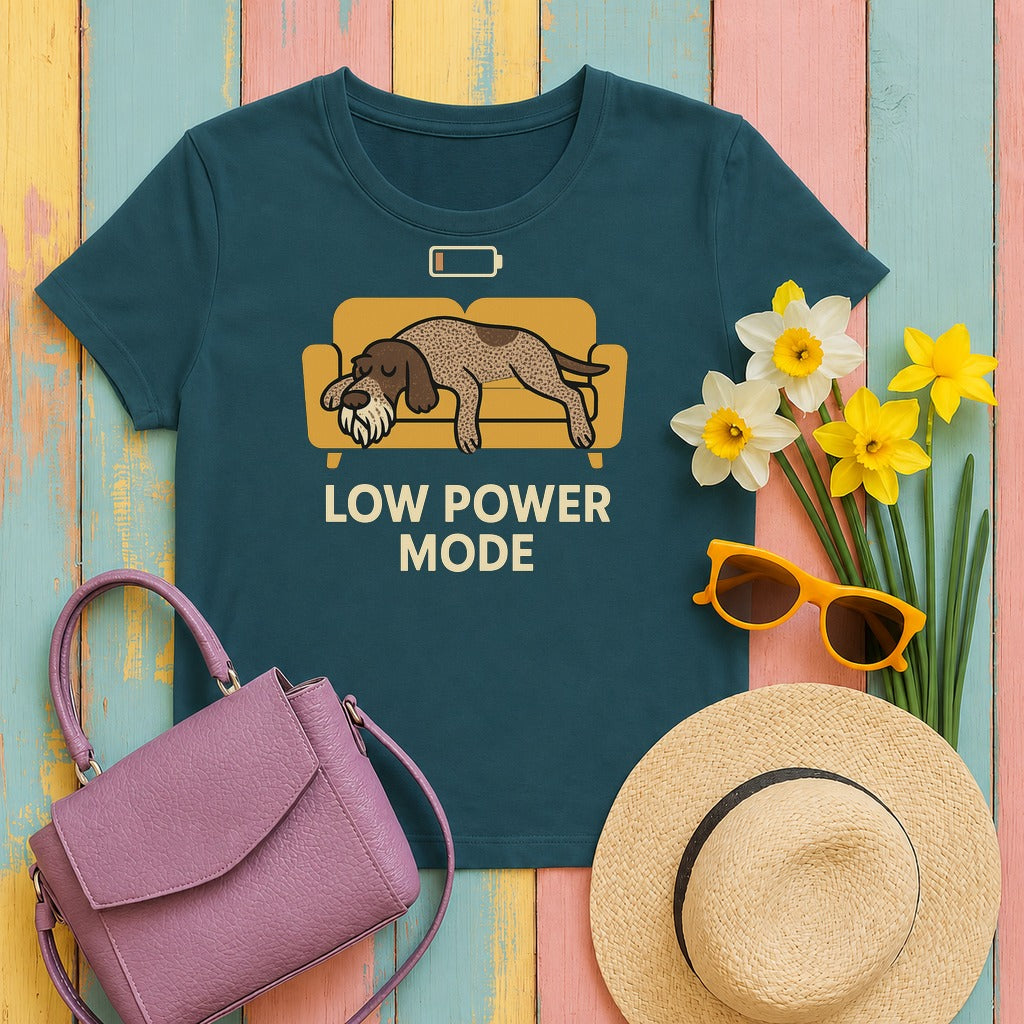 Spinone Italiano Low Power Mode Tee