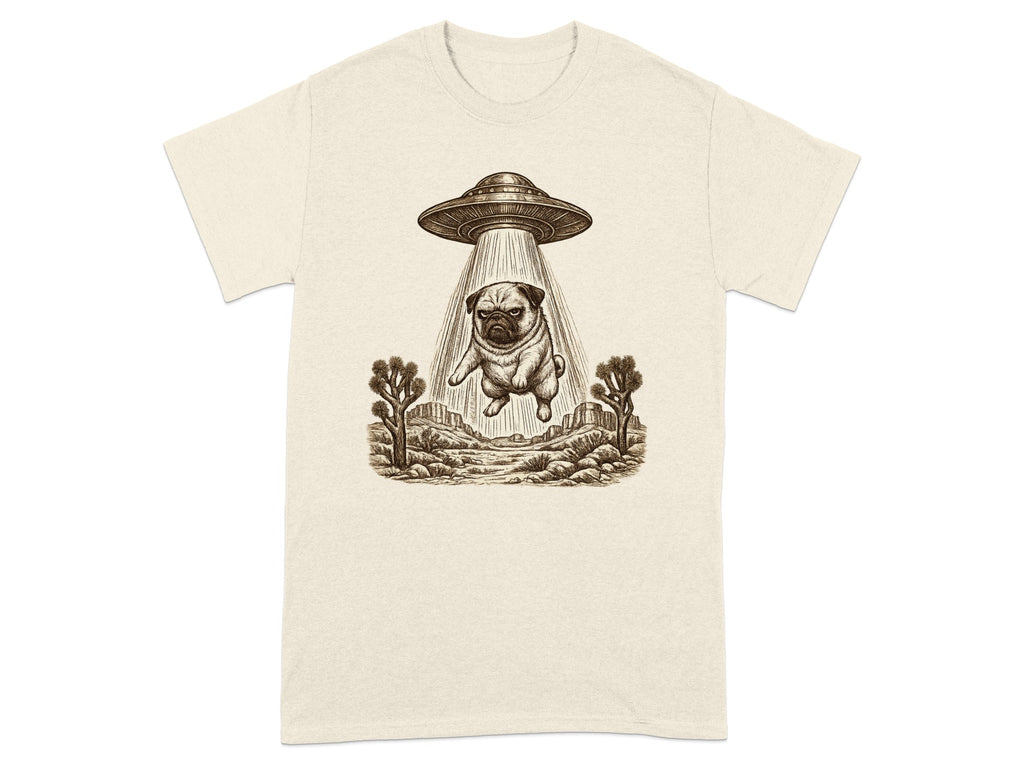 Pug in desert landscape being abducted by a UFO