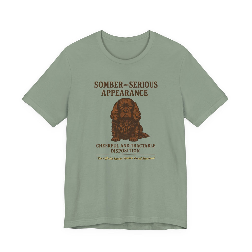 Sussex Somber And Serious Appearance Tee