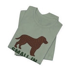 American Water Spaniel Small In Structure Big In Drive Tee