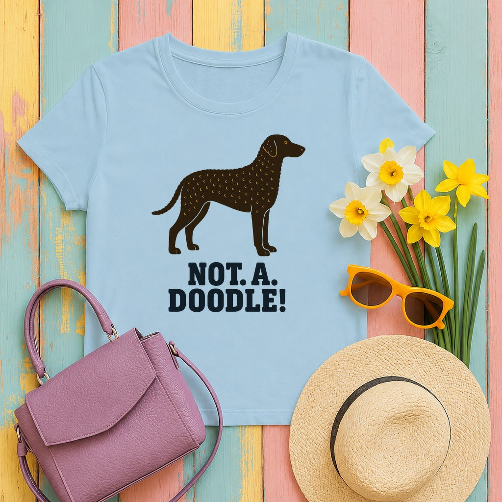 Curly-Coated Retriever Not A Doodle Tee in Light Blue
