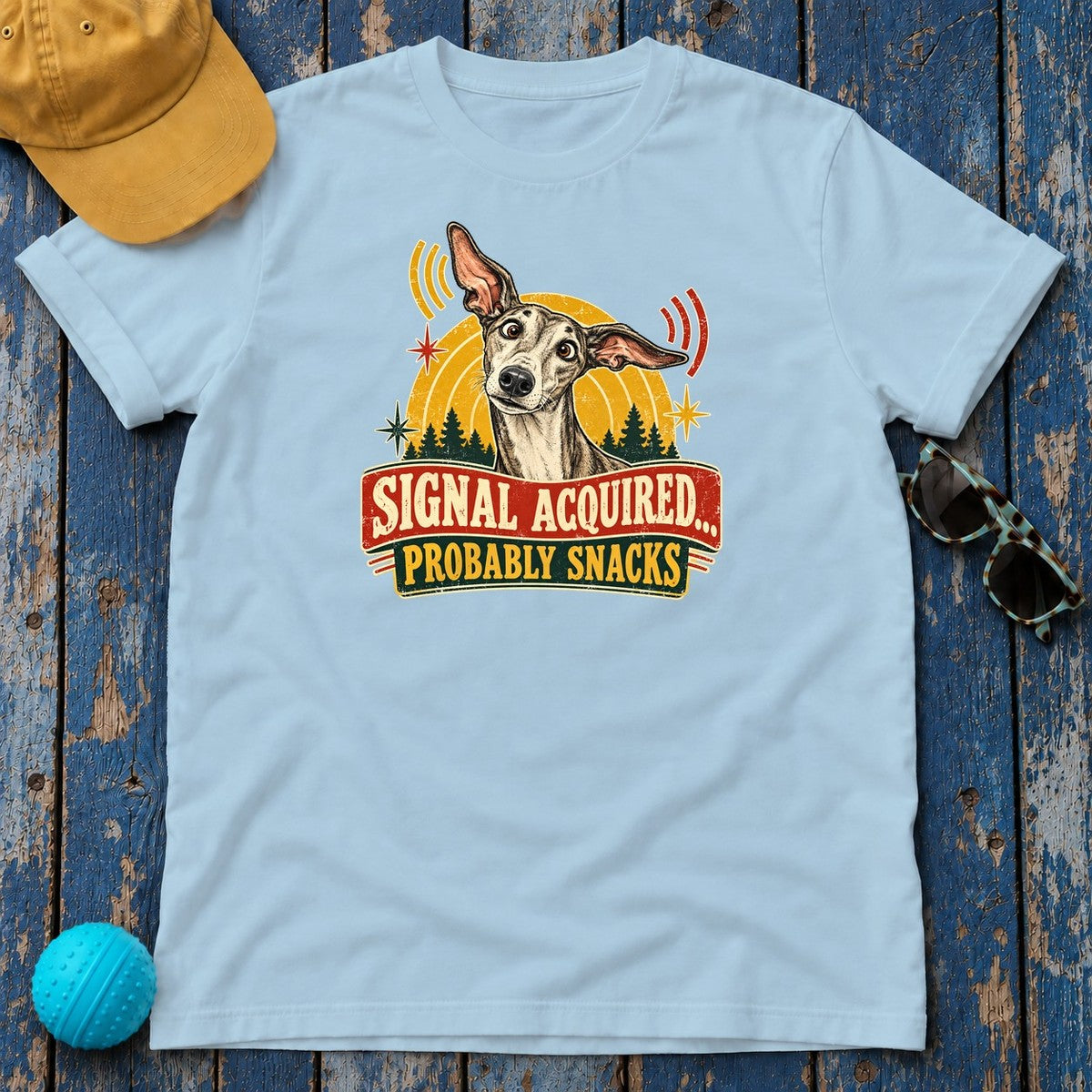 Signal Acquired Probably Snacks Greyhound T-Shirt in Light Blue - flat lay