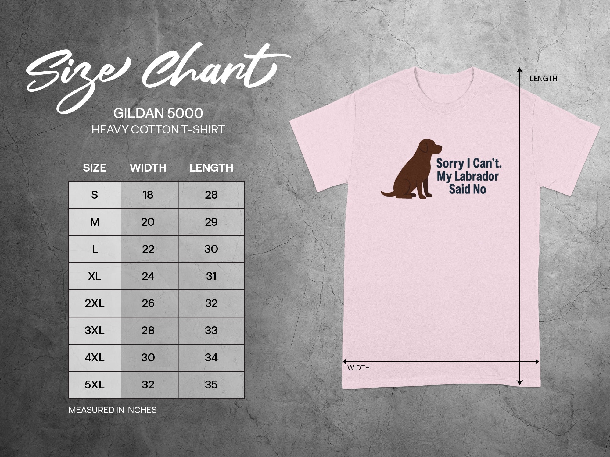 Gildan 5000 Heavy Cotton T-Shirt size chart with width and length measurements in inches.