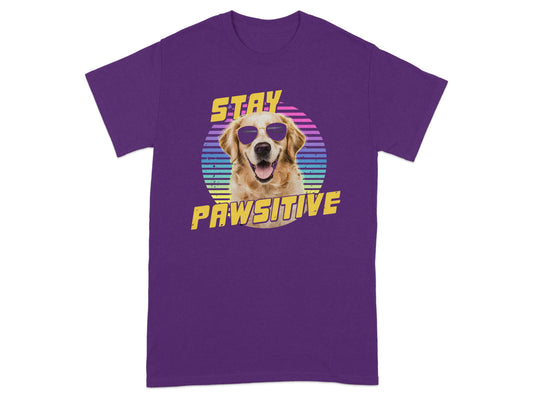 Stay Pawsitive Dog Graphic T-shirt product type