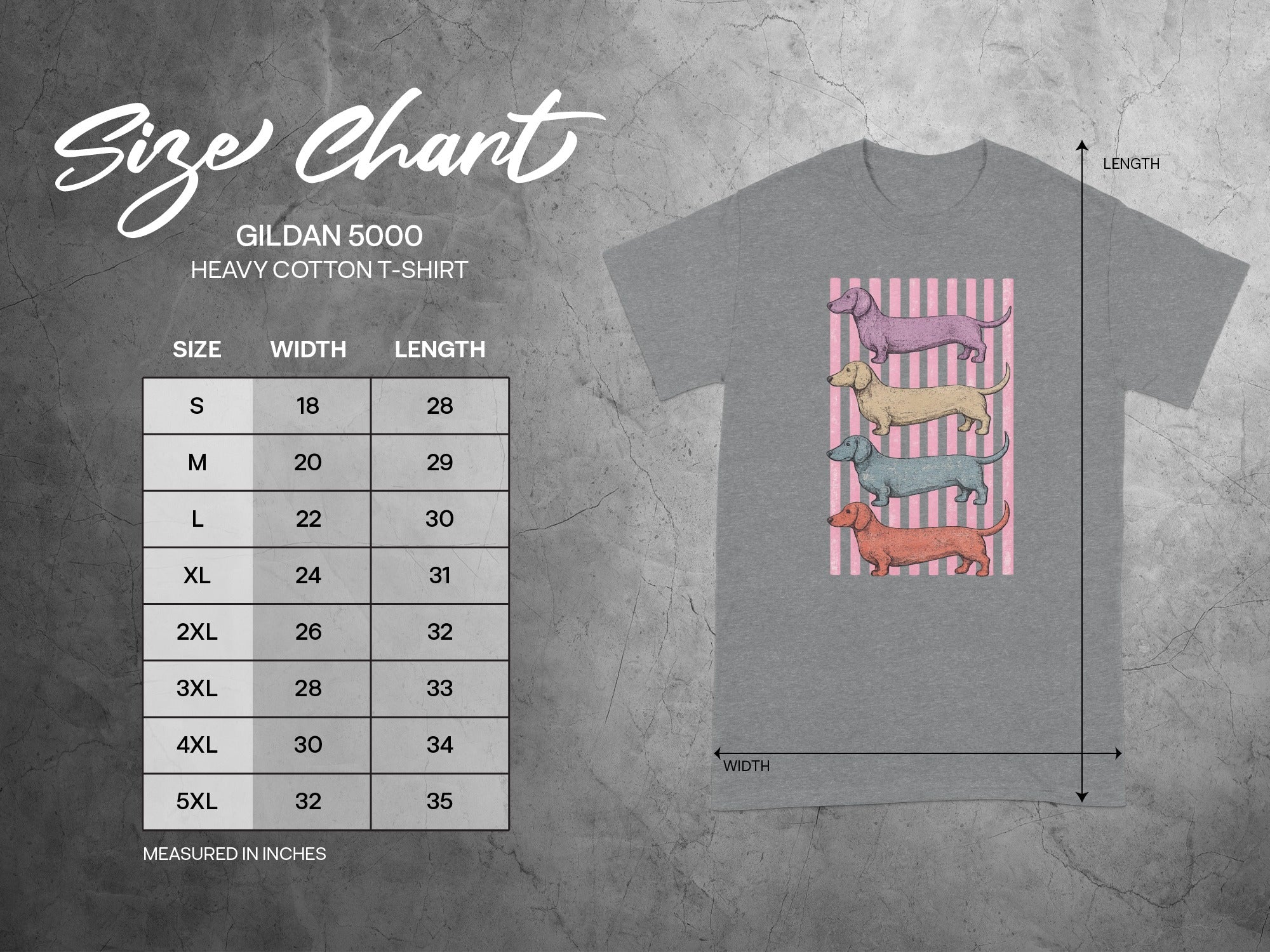 Gildan 5000 t-shirt size chart with dachshund graphic, measured in inches.