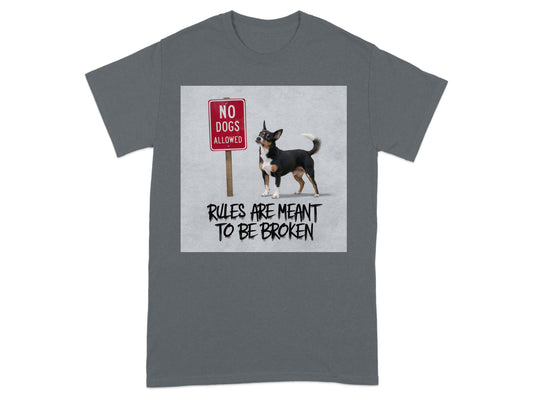 Rules Are Meant To Be Broken T-shirt product