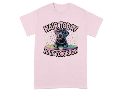 Funny Dog Hair Today Hair Tomorrow Shirt product