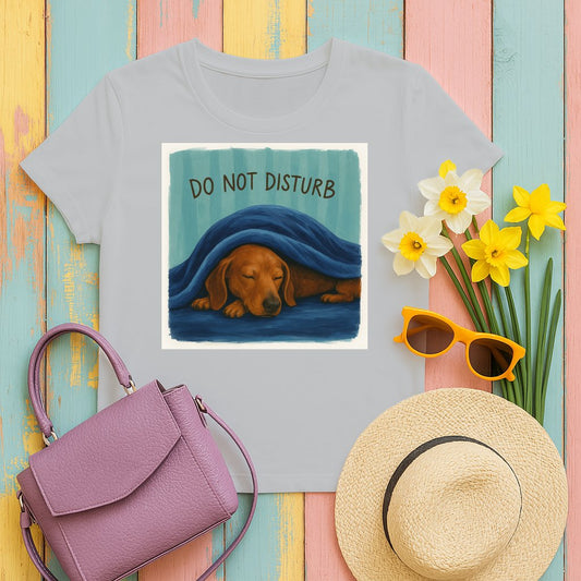 Do Not Disturb Sleeping Dog Graphic T-Shirt product type