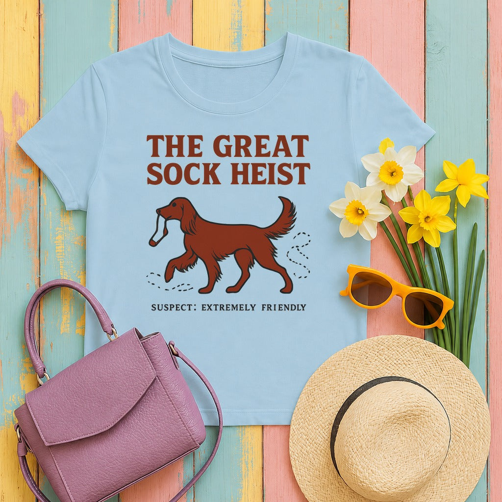 Irish Setter Great Sock Heist T-shirt in Light Blue