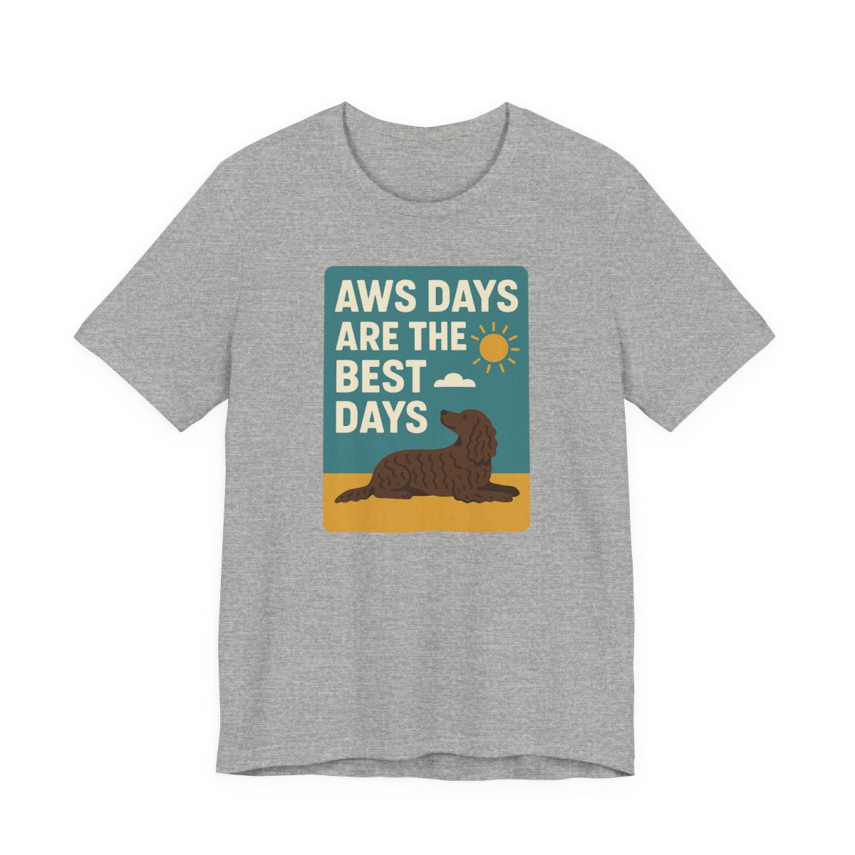 American Water Spaniel AWS Days Are The Best Days Tee