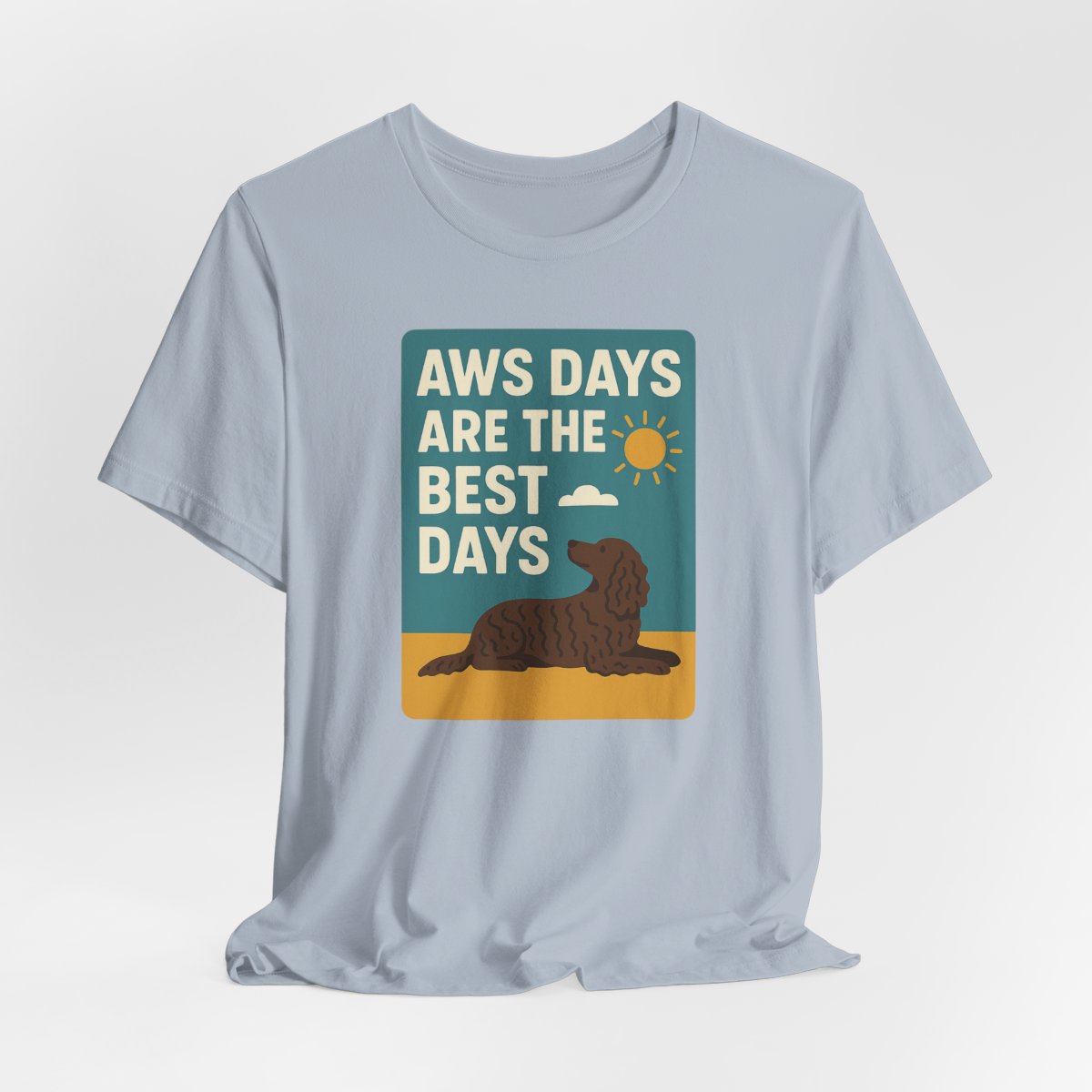 American Water Spaniel AWS Days Are The Best Days Tee