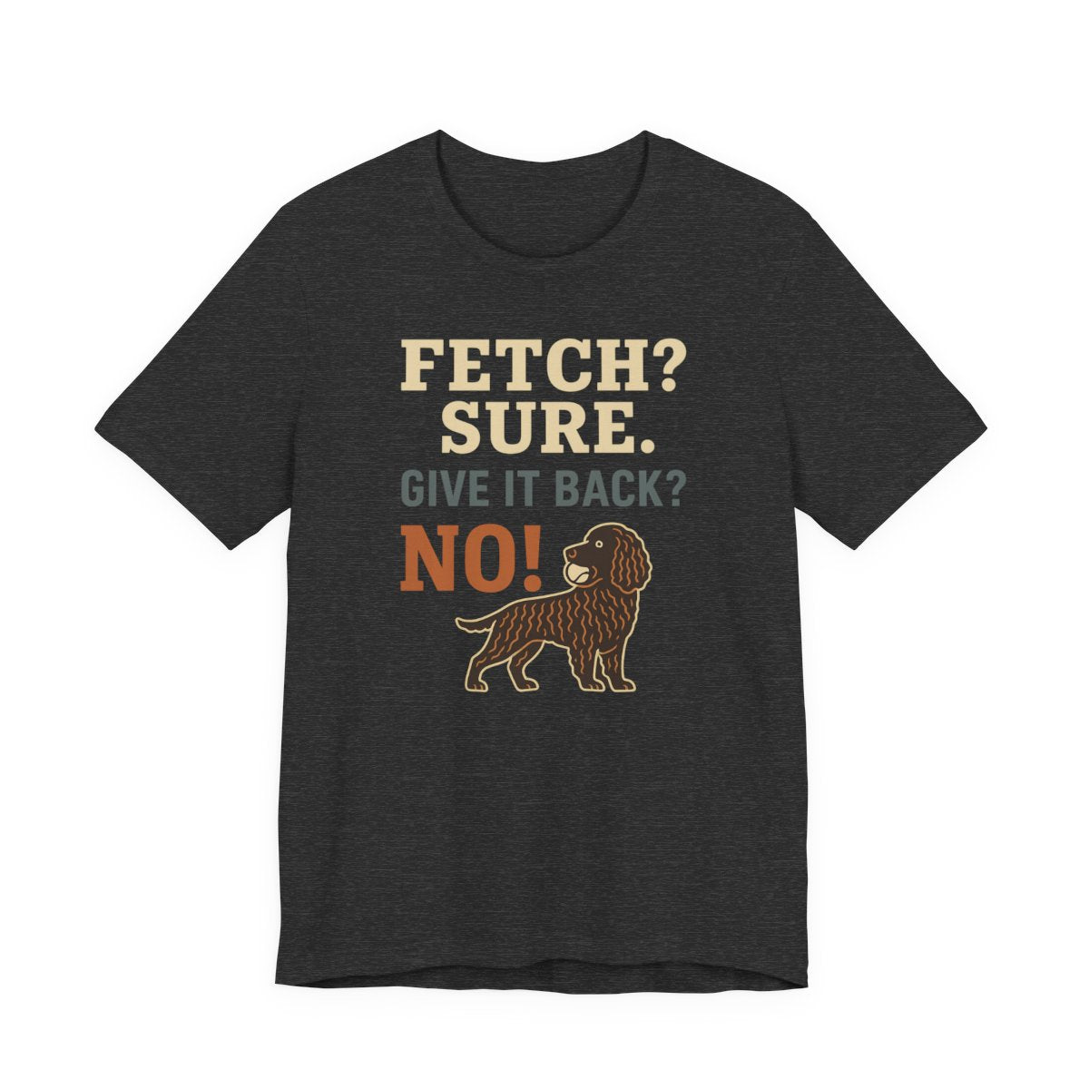 American Water Spaniel Fetch Sure Give It Back No Tee - Dark Grey Heather