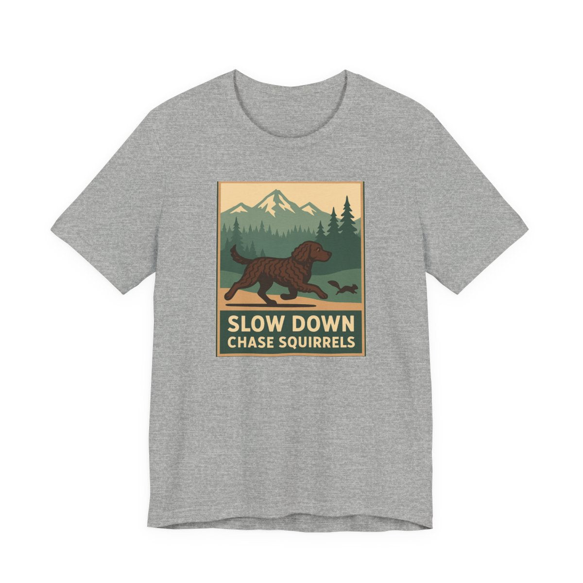 American Water Spaniel Slow Down Chase Squirrels Tee - Athletic Heather